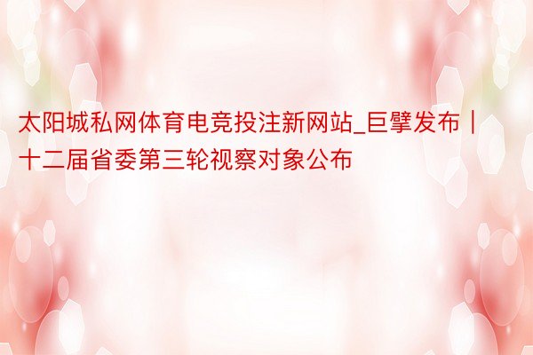 太阳城私网体育电竞投注新网站_巨擘发布︱十二届省委第三轮视察对象公布