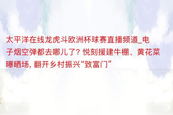 太平洋在线龙虎斗欧洲杯球赛直播频道_电子烟空弹都去哪儿了? 悦刻援建牛棚、黄花菜曝晒场， 翻开乡村振兴“致富门”