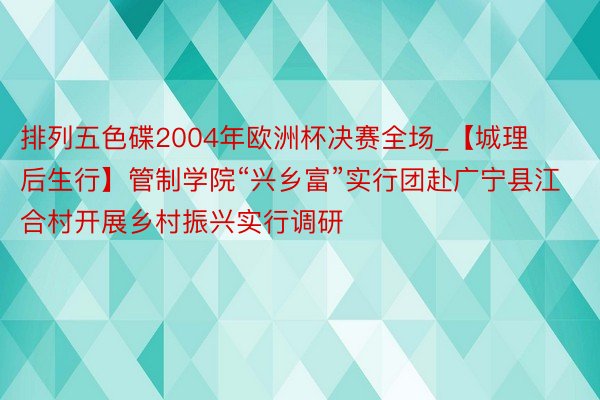 排列五色碟2004年欧洲杯决赛全场_【城理后生行】管制学院“兴乡富”实行团赴广宁县江合村开展乡村振兴实行调研