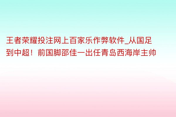 王者荣耀投注网上百家乐作弊软件_从国足到中超！前国脚邵佳一出任青岛西海岸主帅